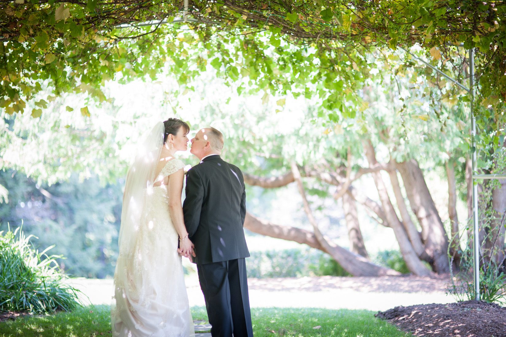 couple kissing under grape arbor