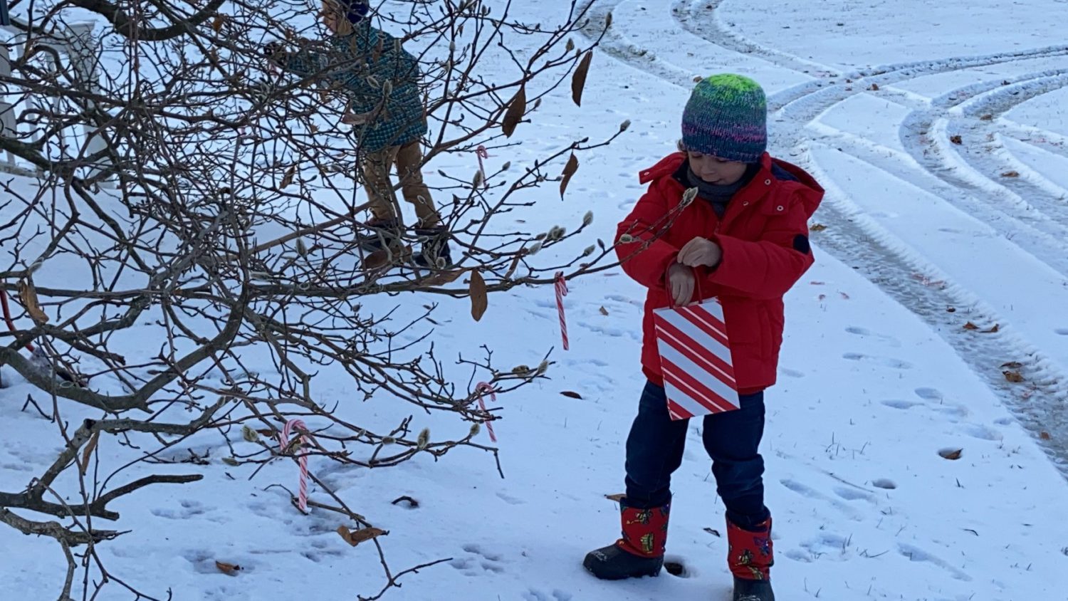 candy-cane-hunt-participant-getting-ready-to-grab-a-candy-cane