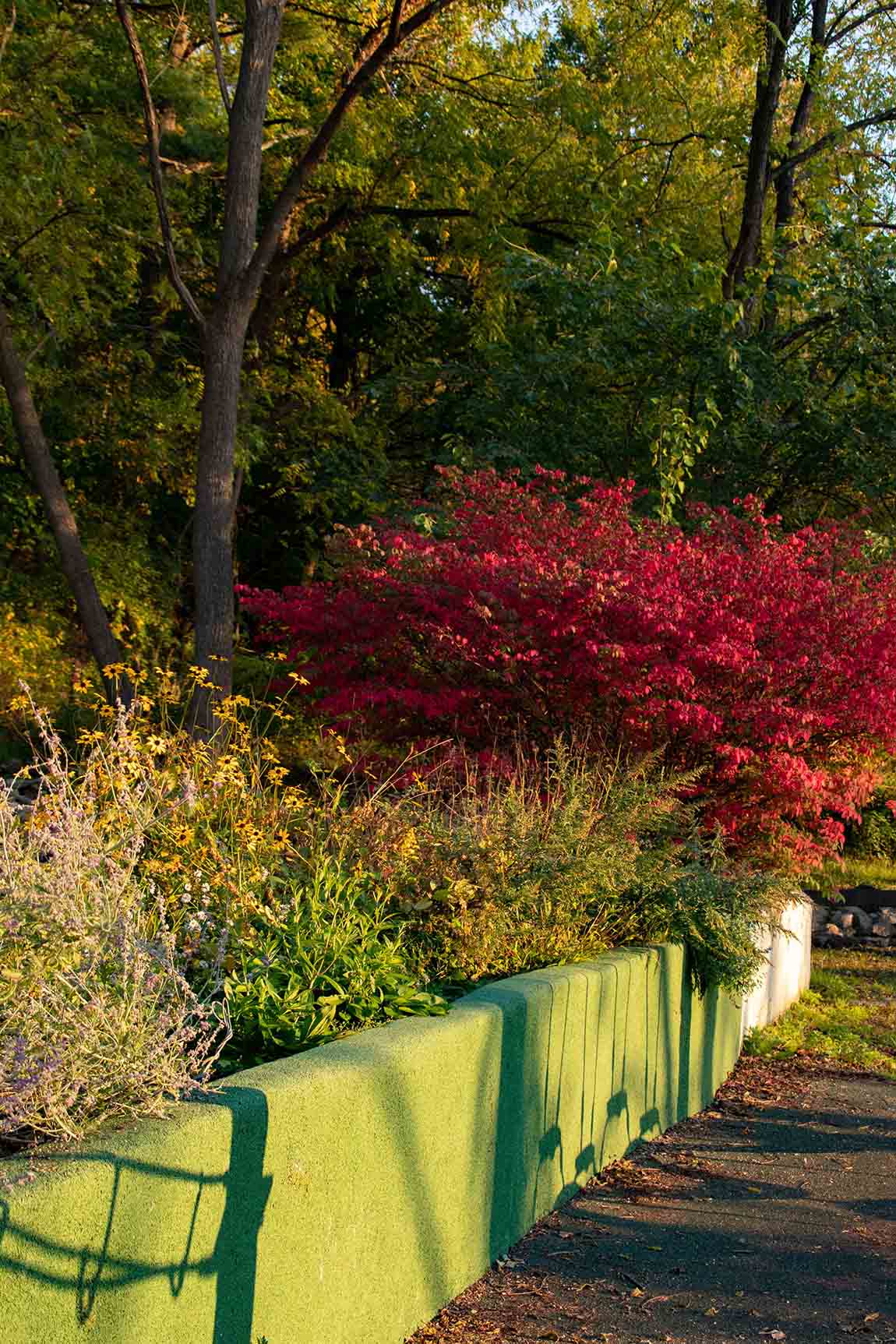 cement planter with flowers and bushes